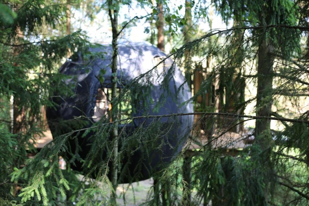 Люкс-шатры Palapinė medyje Barkellai-25